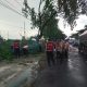 Aksi Tanggap Bencana Polres Lamongan Evakuasi Pohon Tumbang di Sukodadi