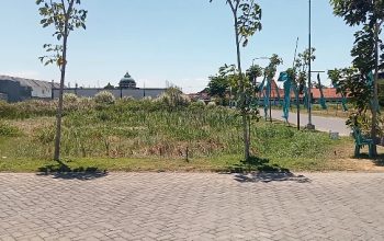 Tanah Kas Desa Banjarbendo Kecamatan Sidoarjo Kota yang disewa PT Purnama Indo Investama untuk akses jalan masuk menuju perumahan Mutiara City dan direncanakan untuk dijadikan objek tukar menukar Tanah Kas Desa Banjarbendo