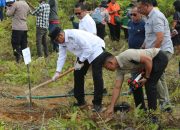 Bupati Tapanuli Utara Canangkan Penanaman Sejuta Pohon Durian Berserta Kemenyan Untuk Pemulihan Pasca Bencana