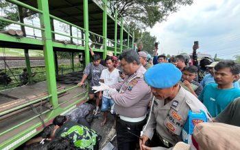 Gerak Cepat Petugas Polsek Babat dan Unit Gakkum Satlantas Polres Lamongan Evakuasi Korban Laka Lantas di Jalan Raya Babat Lamongan