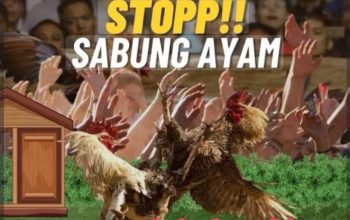 Dugaan Judi Sabung Ayam di Mojoroto Tidak Tersentuh : Nama “Kancil” dan “Adibo” Disebut Warga – Aparat Jangan Kalah Cepat