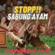 Dugaan Judi Sabung Ayam di Mojoroto Tidak Tersentuh : Nama “Kancil” dan “Adibo” Disebut Warga – Aparat Jangan Kalah Cepat