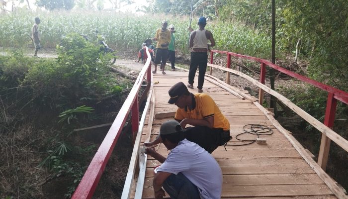 Kapolsek Sambeng Bersama Warga Bangun Jembatan Darurat, Akses Vital Antar Desa Kembali Terhubung