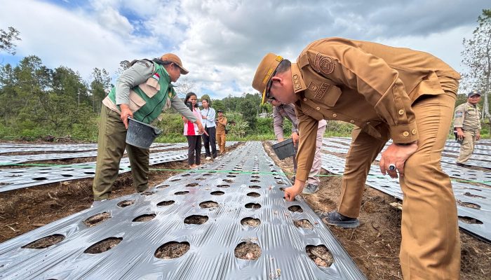 Bupati Tapanuli Utara Memberi Apresiasi Tinggi Kepada Kelompok Tani Serta Masyarakat Desa Parhorboan Kecamatan Pagaran 