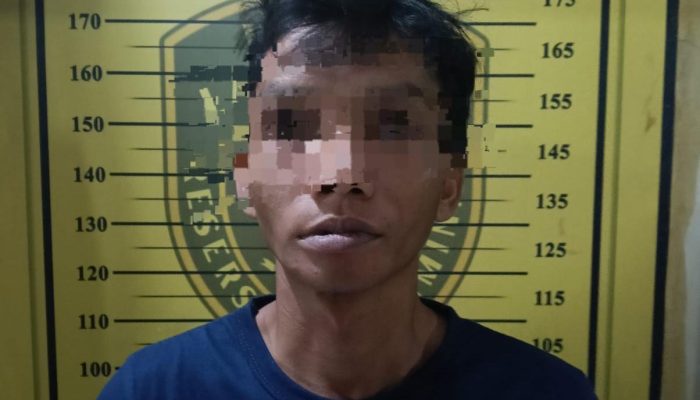 Tiga Tahun DPO Pelaku Cabul Tak Melawan Saat Ditangkap Satreskrim Polres Lamongan Dirumahnya