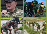 Prajurit TNI Bertani Mendukung Program Swasembada Pangan
