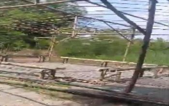 Perjudian Ditumbangkan di Enam Titik  Tapi Mengapa di DS Juwet Kunjang Justru Diduga Dibangun Permanen