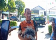 Diperiksa Kejaksaan Ketua BPD Damarsi  Kepala Desa Mengetahui Sejak Awal Pengurukan Meskipun Belum Terjadi Tukar Guling